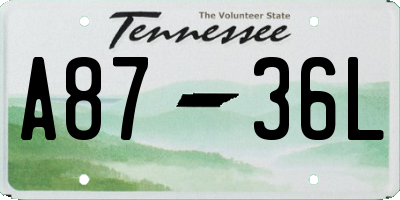 TN license plate A8736L