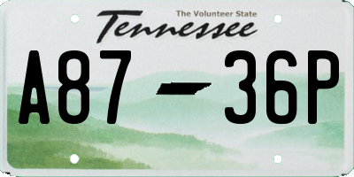 TN license plate A8736P