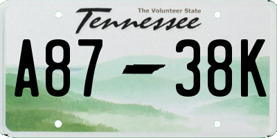 TN license plate A8738K