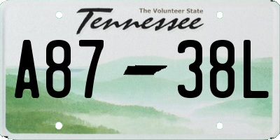 TN license plate A8738L