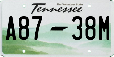 TN license plate A8738M