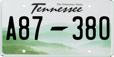 TN license plate A8738O