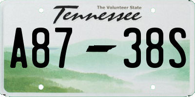 TN license plate A8738S