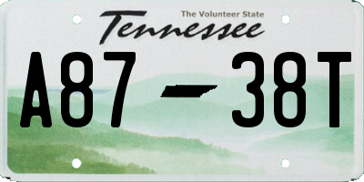 TN license plate A8738T