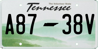 TN license plate A8738V