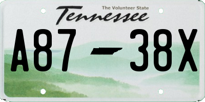 TN license plate A8738X