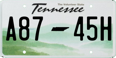 TN license plate A8745H