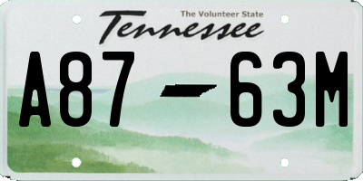 TN license plate A8763M