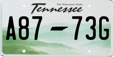 TN license plate A8773G