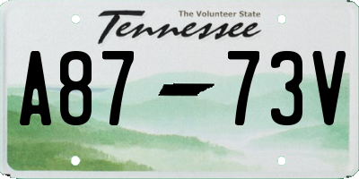TN license plate A8773V