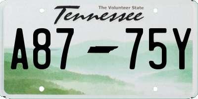 TN license plate A8775Y