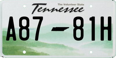 TN license plate A8781H