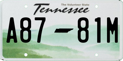 TN license plate A8781M