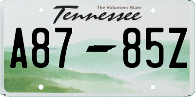 TN license plate A8785Z