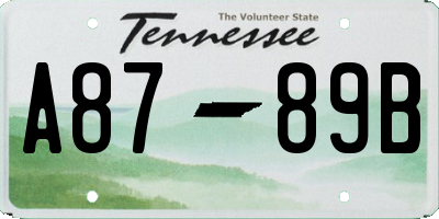 TN license plate A8789B