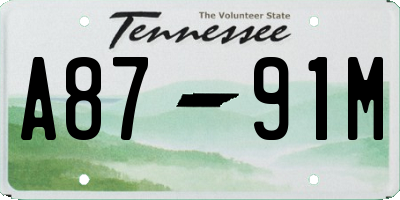 TN license plate A8791M