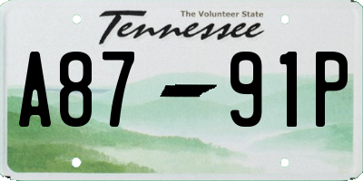 TN license plate A8791P
