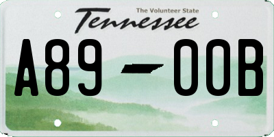 TN license plate A8900B