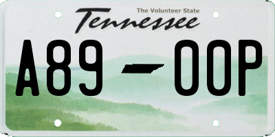 TN license plate A8900P