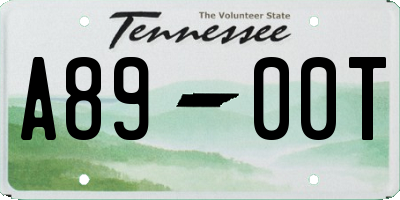 TN license plate A8900T
