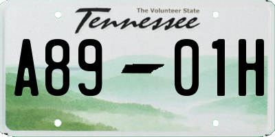 TN license plate A8901H