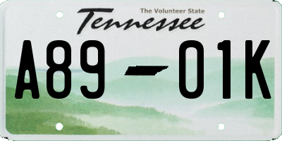 TN license plate A8901K