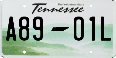 TN license plate A8901L
