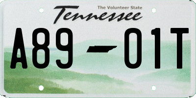 TN license plate A8901T