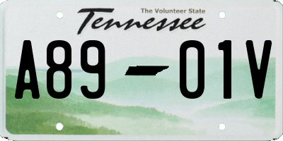 TN license plate A8901V