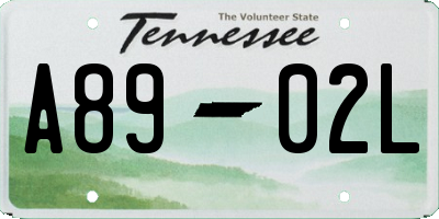 TN license plate A8902L