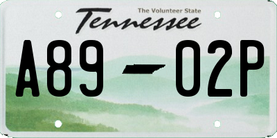 TN license plate A8902P