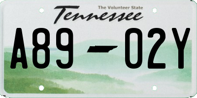 TN license plate A8902Y