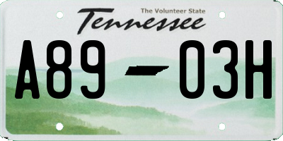 TN license plate A8903H