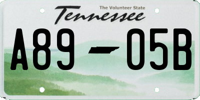 TN license plate A8905B