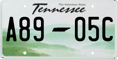 TN license plate A8905C