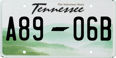 TN license plate A8906B