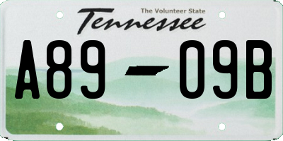 TN license plate A8909B