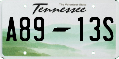 TN license plate A8913S