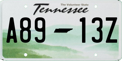 TN license plate A8913Z