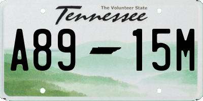 TN license plate A8915M