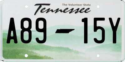 TN license plate A8915Y