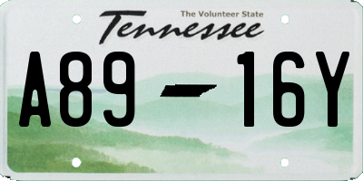 TN license plate A8916Y