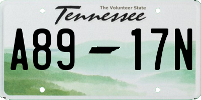 TN license plate A8917N