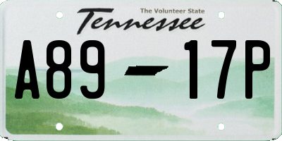 TN license plate A8917P