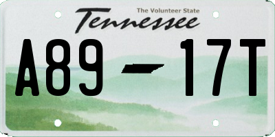 TN license plate A8917T