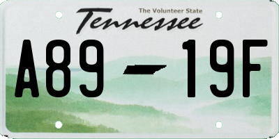 TN license plate A8919F