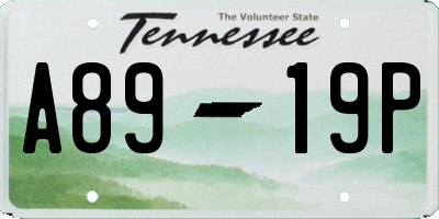 TN license plate A8919P