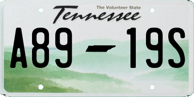 TN license plate A8919S