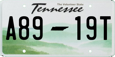 TN license plate A8919T
