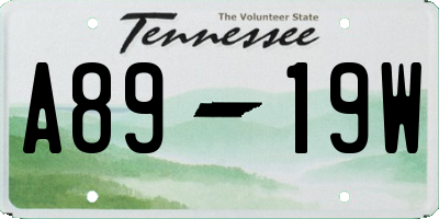 TN license plate A8919W